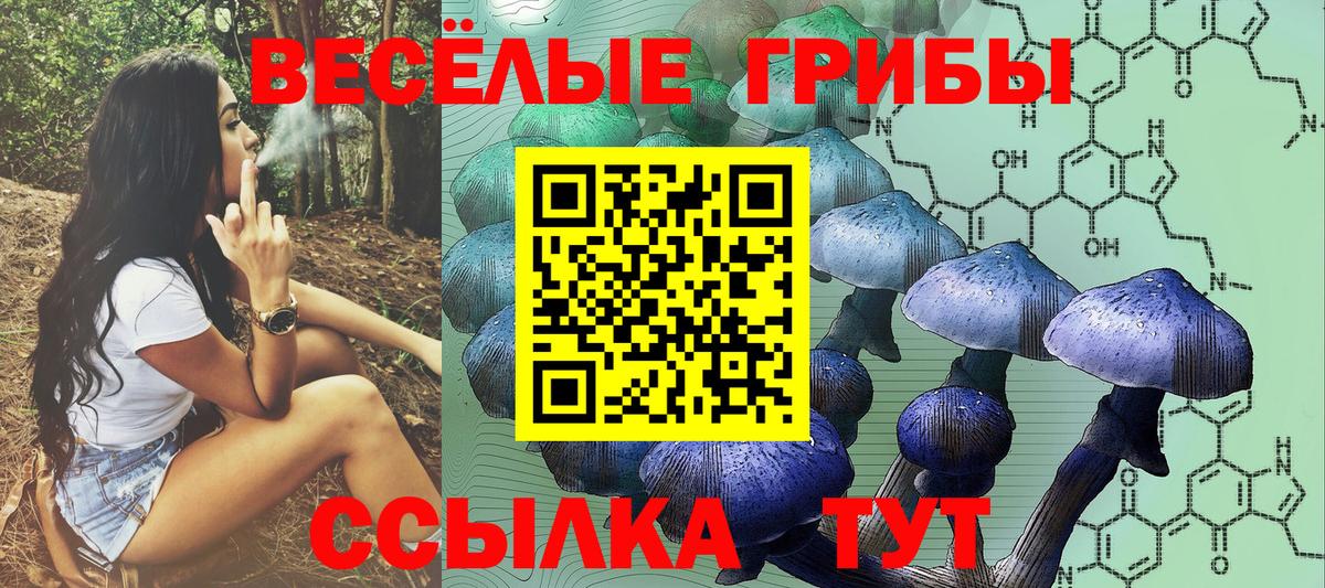 Галлюциногенные грибы Psilocybine cubensis  Вход с VPN  Чистополь 