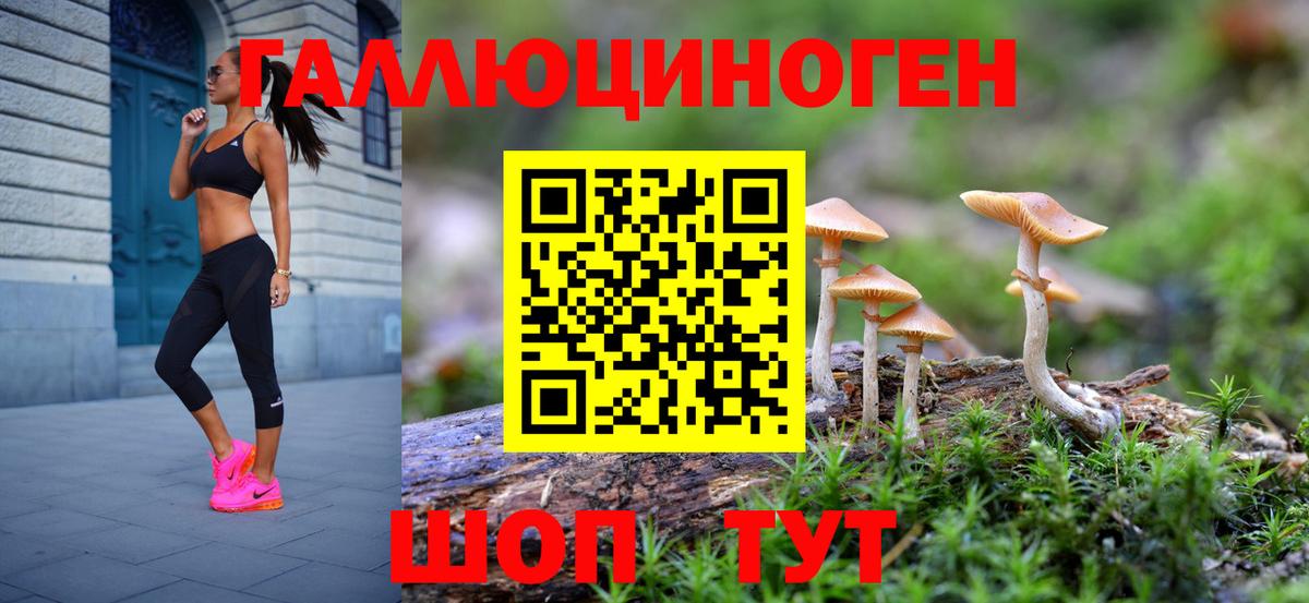 Галлюциногенные грибы Psilocybine cubensis Чистополь
